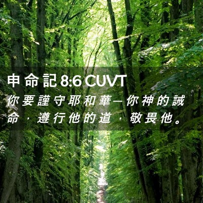 Picture 02 - 申 命 記 8:6 CUVT - 你 要 謹 守 耶 和 華 ─ 你 神 的 誡 - Bible Verse Picture