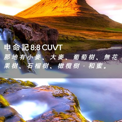 Picture 02 - 申 命 記 8:8 CUVT - 那 地 有 小 麥 、 大 麥 、 葡 萄 樹 - Bible Verse Picture