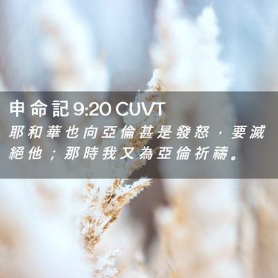 Picture 02 - 申 命 記 9:20 CUVT - 耶 和 華 也 向 亞 倫 甚 是 發 怒 ， - Bible Verse Picture
