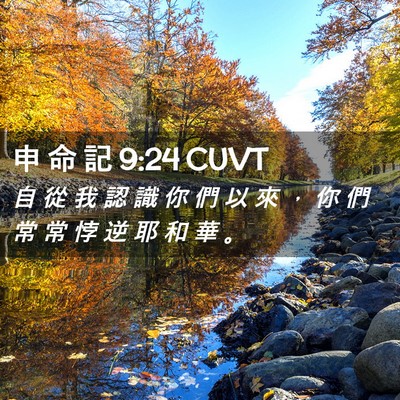 Picture 02 - 申 命 記 9:24 CUVT - 自 從 我 認 識 你 們 以 來 ， 你 們 - Bible Verse Picture