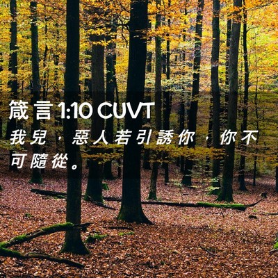 Picture 02 - 箴 言 1:10 CUVT - 我 兒 ， 惡 人 若 引 誘 你 ， 你 不 - Bible Verse Picture
