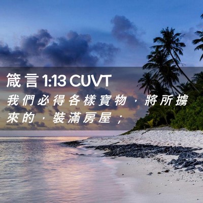 Picture 02 - 箴 言 1:13 CUVT - 我 們 必 得 各 樣 寶 物 ， 將 所 擄 - Bible Verse Picture