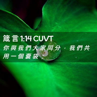 Picture 02 - 箴 言 1:14 CUVT - 你 與 我 們 大 家 同 分 ， 我 們 共 - Bible Verse Picture