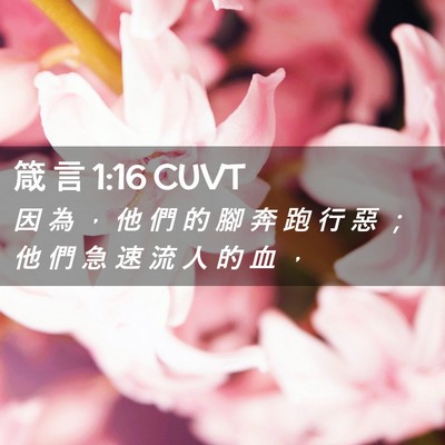 Picture 02 - 箴 言 1:16 CUVT - 因 為 ， 他 們 的 腳 奔 跑 行 惡 ； - Bible Verse Picture