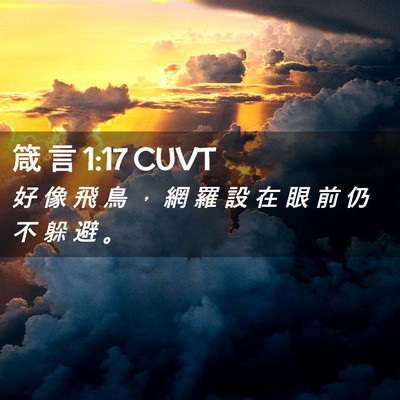 Picture 02 - 箴 言 1:17 CUVT - 好 像 飛 鳥 ， 網 羅 設 在 眼 前 仍 - Bible Verse Picture