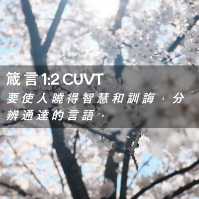 Picture 02 - 箴 言 1:2 CUVT - 要 使 人 曉 得 智 慧 和 訓 誨 ， 分 - Bible Verse Picture