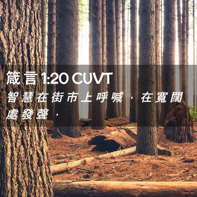 Picture 02 - 箴 言 1:20 CUVT - 智 慧 在 街 市 上 呼 喊 ， 在 寬 闊 - Bible Verse Picture