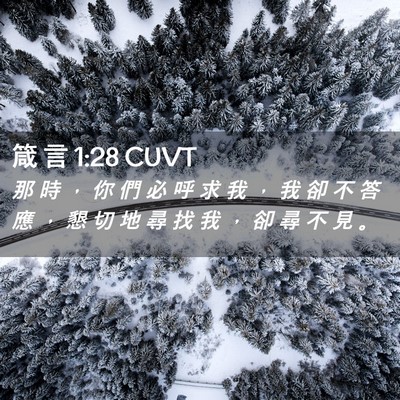 Picture 02 - 箴 言 1:28 CUVT - 那 時 ， 你 們 必 呼 求 我 ， 我 卻 - Bible Verse Picture