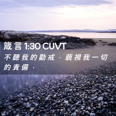 Picture 02 - 箴 言 1:30 CUVT - 不 聽 我 的 勸 戒 ， 藐 視 我 一 切 - Bible Verse Picture