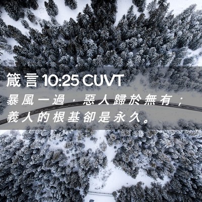 Picture 02 - 箴 言 10:25 CUVT - 暴 風 一 過 ， 惡 人 歸 於 無 有 ； - Bible Verse Picture