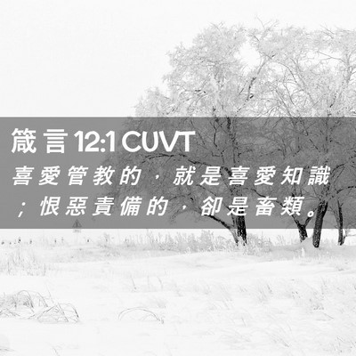 Picture 02 - 箴 言 12:1 CUVT - 喜 愛 管 教 的 ， 就 是 喜 愛 知 識 - Bible Verse Picture