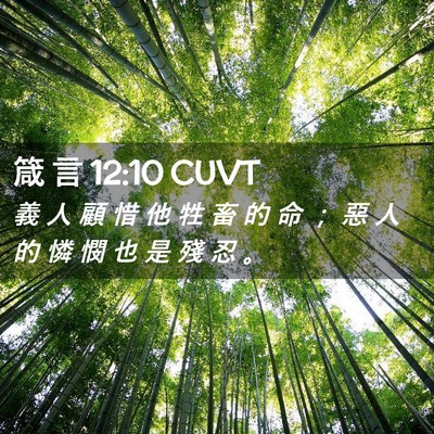 Picture 02 - 箴 言 12:10 CUVT - 義 人 顧 惜 他 牲 畜 的 命 ； 惡 人 - Bible Verse Picture