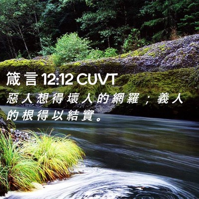 Picture 02 - 箴 言 12:12 CUVT - 惡 人 想 得 壞 人 的 網 羅 ； 義 人 - Bible Verse Picture