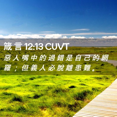 Picture 02 - 箴 言 12:13 CUVT - 惡 人 嘴 中 的 過 錯 是 自 己 的 網 - Bible Verse Picture