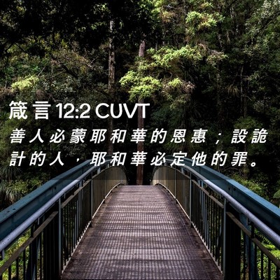 Picture 02 - 箴 言 12:2 CUVT - 善 人 必 蒙 耶 和 華 的 恩 惠 ； 設 - Bible Verse Picture