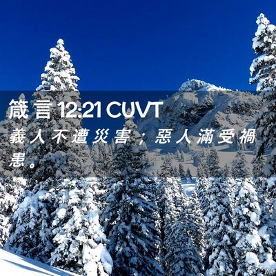 Picture 02 - 箴 言 12:21 CUVT - 義 人 不 遭 災 害 ； 惡 人 滿 受 禍 - Bible Verse Picture
