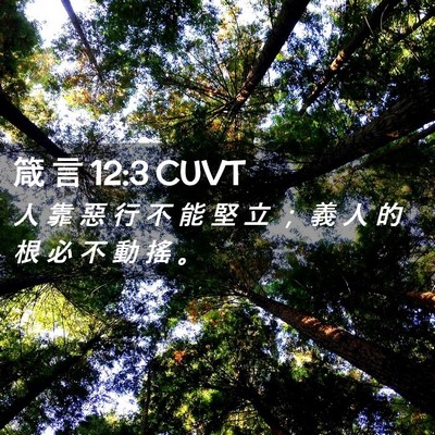 Picture 02 - 箴 言 12:3 CUVT - 人 靠 惡 行 不 能 堅 立 ； 義 人 的 - Bible Verse Picture