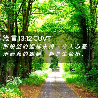 Picture 02 - 箴 言 13:12 CUVT - 所 盼 望 的 遲 延 未 得 ， 令 人 心 - Bible Verse Picture