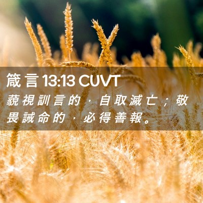Picture 02 - 箴 言 13:13 CUVT - 藐 視 訓 言 的 ， 自 取 滅 亡 ； 敬 - Bible Verse Picture