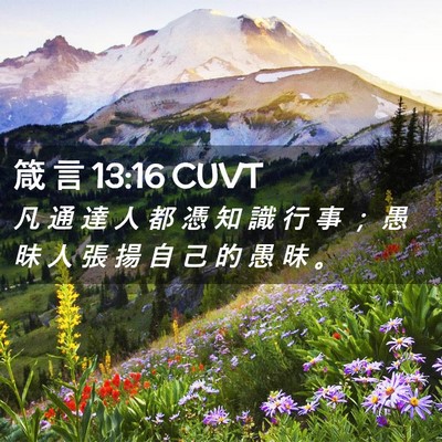 Picture 02 - 箴 言 13:16 CUVT - 凡 通 達 人 都 憑 知 識 行 事 ； 愚 - Bible Verse Picture