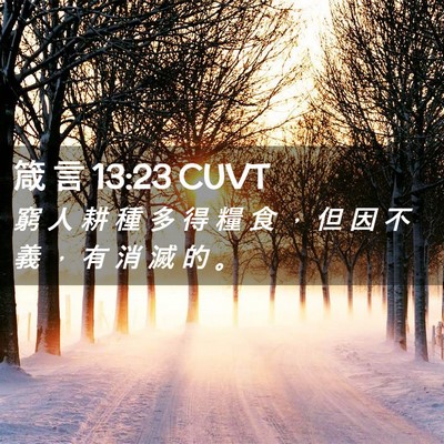 Picture 02 - 箴 言 13:23 CUVT - 窮 人 耕 種 多 得 糧 食 ， 但 因 不 - Bible Verse Picture