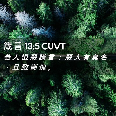 Picture 02 - 箴 言 13:5 CUVT - 義 人 恨 惡 謊 言 ； 惡 人 有 臭 名 - Bible Verse Picture