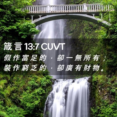 Picture 02 - 箴 言 13:7 CUVT - 假 作 富 足 的 ， 卻 一 無 所 有 ； - Bible Verse Picture