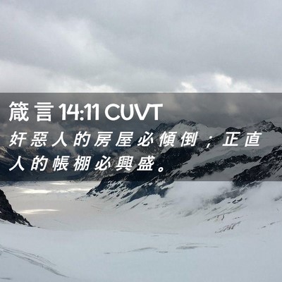 Picture 02 - 箴 言 14:11 CUVT - 奸 惡 人 的 房 屋 必 傾 倒 ； 正 直 - Bible Verse Picture