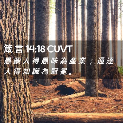 Picture 02 - 箴 言 14:18 CUVT - 愚 蒙 人 得 愚 昧 為 產 業 ； 通 達 - Bible Verse Picture