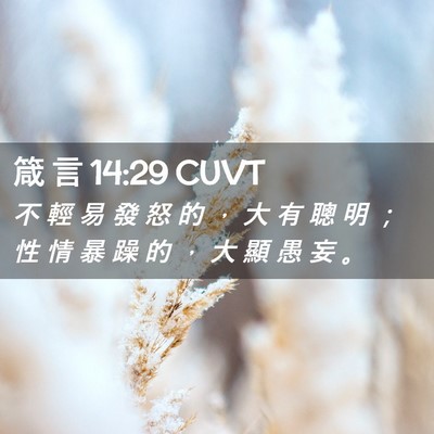 Picture 02 - 箴 言 14:29 CUVT - 不 輕 易 發 怒 的 ， 大 有 聰 明 ； - Bible Verse Picture