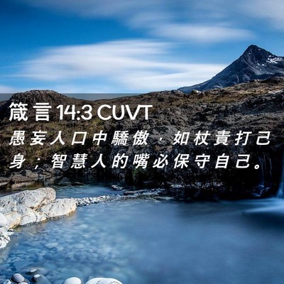 Picture 02 - 箴 言 14:3 CUVT - 愚 妄 人 口 中 驕 傲 ， 如 杖 責 打 - Bible Verse Picture
