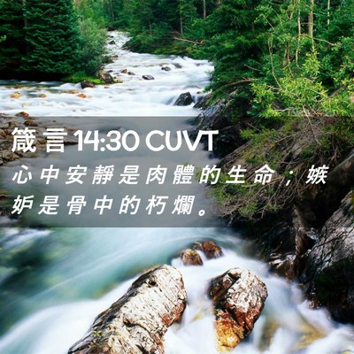 Picture 02 - 箴 言 14:30 CUVT - 心 中 安 靜 是 肉 體 的 生 命 ； 嫉 - Bible Verse Picture