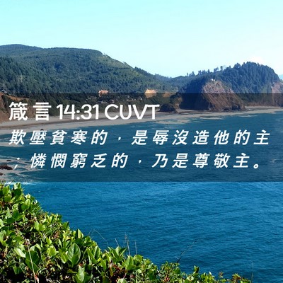 Picture 02 - 箴 言 14:31 CUVT - 欺 壓 貧 寒 的 ， 是 辱 沒 造 他 的 - Bible Verse Picture