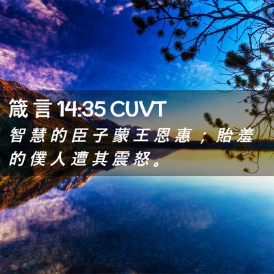 Picture 02 - 箴 言 14:35 CUVT - 智 慧 的 臣 子 蒙 王 恩 惠 ； 貽 羞 - Bible Verse Picture