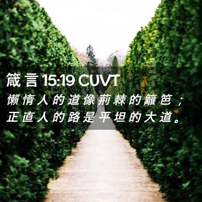 Picture 02 - 箴 言 15:19 CUVT - 懶 惰 人 的 道 像 荊 棘 的 籬 笆 ； - Bible Verse Picture