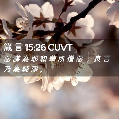 Picture 02 - 箴 言 15:26 CUVT - 惡 謀 為 耶 和 華 所 憎 惡 ； 良 言 - Bible Verse Picture