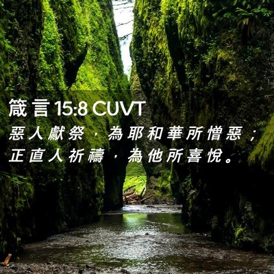 Picture 02 - 箴 言 15:8 CUVT - 惡 人 獻 祭 ， 為 耶 和 華 所 憎 惡 - Bible Verse Picture