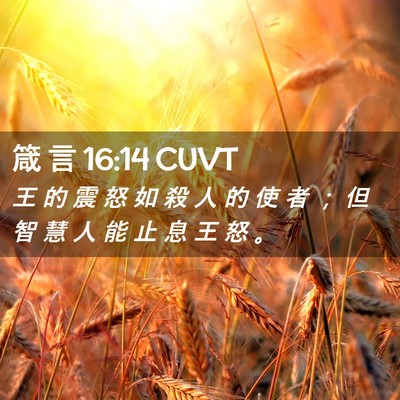 Picture 02 - 箴 言 16:14 CUVT - 王 的 震 怒 如 殺 人 的 使 者 ； 但 - Bible Verse Picture