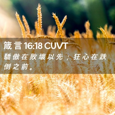 Picture 02 - 箴 言 16:18 CUVT - 驕 傲 在 敗 壞 以 先 ； 狂 心 在 跌 - Bible Verse Picture