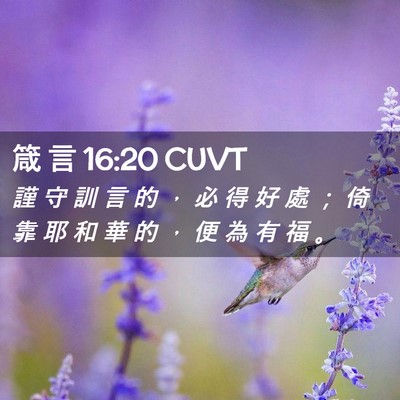 Picture 02 - 箴 言 16:20 CUVT - 謹 守 訓 言 的 ， 必 得 好 處 ； 倚 - Bible Verse Picture