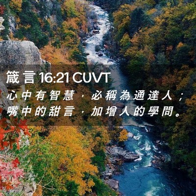 Picture 02 - 箴 言 16:21 CUVT - 心 中 有 智 慧 ， 必 稱 為 通 達 人 - Bible Verse Picture