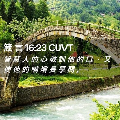 Picture 02 - 箴 言 16:23 CUVT - 智 慧 人 的 心 教 訓 他 的 口 ， 又 - Bible Verse Picture