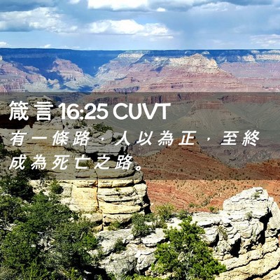 Picture 02 - 箴 言 16:25 CUVT - 有 一 條 路 ， 人 以 為 正 ， 至 終 - Bible Verse Picture