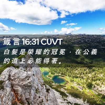 Picture 02 - 箴 言 16:31 CUVT - 白 髮 是 榮 耀 的 冠 冕 ， 在 公 義 - Bible Verse Picture