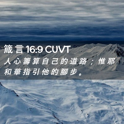 Picture 02 - 箴 言 16:9 CUVT - 人 心 籌 算 自 己 的 道 路 ； 惟 耶 - Bible Verse Picture