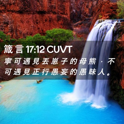 Picture 02 - 箴 言 17:12 CUVT - 寧 可 遇 見 丟 崽 子 的 母 熊 ， 不 - Bible Verse Picture
