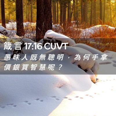 Picture 02 - 箴 言 17:16 CUVT - 愚 昧 人 既 無 聰 明 ， 為 何 手 拿 - Bible Verse Picture