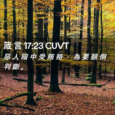 Picture 02 - 箴 言 17:23 CUVT - 惡 人 暗 中 受 賄 賂 ， 為 要 顛 倒 - Bible Verse Picture