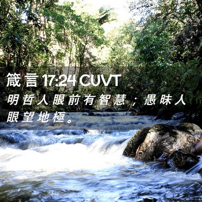 Picture 02 - 箴 言 17:24 CUVT - 明 哲 人 眼 前 有 智 慧 ； 愚 昧 人 - Bible Verse Picture