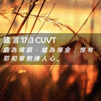 Picture 02 - 箴 言 17:3 CUVT - 鼎 為 煉 銀 ， 爐 為 煉 金 ； 惟 有 - Bible Verse Picture
